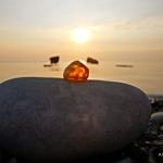 Bernstein aus der Ostsee