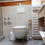 Badezimmer mit Toilette, Dusche und Holzregal