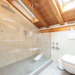 Badezimmer mit Dusche, Toilette und Holzdecke