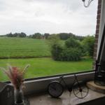 Aus dem Fenster blickt man auf grüne Wiesen und Bäume.
