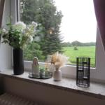 Fensterbrett mit Blumen, Pflanzen und Dekorationsgegenständen. Blick auf grünes Feld und Bäume.