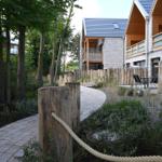 Pflasterweg durch Grünanlagen zu modernen Häusern mit Balkonen.