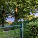 Grüner Zaun führt zu einem Blick auf einen See durch Bäume.