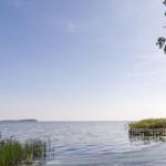 Seeufer mit Gräsern, Holzsteg und Baum. Blick auf die gegenüberliegende Uferseite.