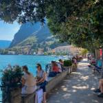 Guests enjoy the lakeside view under trees.