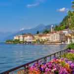 Beautiful view of a lake with a village on the shore and blooming plants in the foreground.