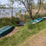 Zwei grüne Boote liegen am Ufer eines Sees unter Bäumen.