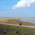Drei Personen gehen auf einem Weg am Ufer. Hinter ihnen liegt eine Wiese und das Meer.