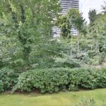 Grünflächen mit Büschen und Bäumen. Hochhaus im Hintergrund.