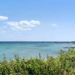 Meeresblick mit klarem Himmel und grüner Vegetation am Strand.
