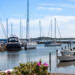 Hafen mit vielen Segelyachten und Motorbooten unter blauem Himmel.