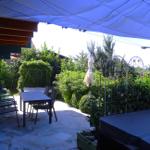 Terrasse mit Tisch, Stühlen und Sonnenschutz. Gartengrundstück mit Pflanzen und Gartenzaun.