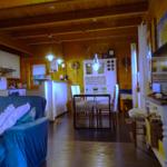 Wohn- und Essbereich mit Küchenzeile und TV. Holzwände und -decke.