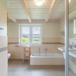 Badezimmer mit Badewanne, Dusche und Fenster mit Blick nach außen.