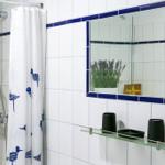 Badezimmer mit Dusche, Spiegel und Handtuchhalter.