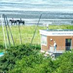 Rettungsstation Sahlenburg mit Strand und Pferden im Hintergrund
