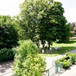 Grünanlage mit Bäumen, Wegen und Sitzgelegenheiten