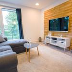 Wohnzimmer mit Sofa, Fernseher an Holzwand und Terrassentür.