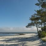 Weißer Sandstrand mit Pinien und Blick auf das Meer unter blauem Himmel.