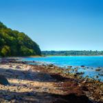 Steiniger Strand mit Wald und tiefblauem Wasser