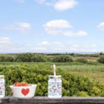 Auf der Terrasse stehen zwei Gläser und eine Schale mit Erdbeeren vor einer grünen Landschaft und dem Meer.