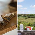 Holzdekoration auf Tisch. Blick auf Grasland und Meer mit Obstschale und Gläsern.
