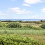 Grüne Wiesen und Büsche führen zum Meer unter blauem Himmel mit weißen Wolken.