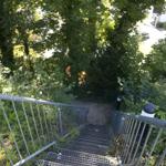 Metalltreppe mit Geländer führt durch grüne Vegetation nach unten.