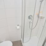 Dusche mit Duschbrause, Toilette und Toilettenpapierhalter in weißer Fliesenwand.