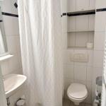 Badezimmer mit Dusche, Toilette und Waschbecken.