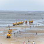 Mangrovenküste mit Besuchern und gelben Booten im flachen Wasser.