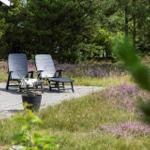 Zwei Liegestühle stehen auf einer Terrasse mit Blick auf einen Wald und Heide.
