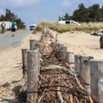Holzpfostenzaun mit Sträuchern entlang einer Sandstraße