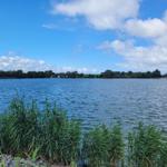 Ein ruhiger See mit Ufervegetation und Bäumen im Hintergrund unter blauem Himmel mit weißen Wolken.