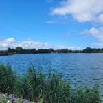Ein ruhiger See mit Ufervegetation und Häusern im Hintergrund unter blauem Himmel.