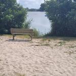 Holzbank am Strand mit Blick auf ruhiges Wasser und grüne Bäume.