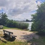 Zwei Holzbanken an einem Seeufer mit Gras und Bäumen.