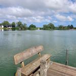 Holzbank am Seeufer mit Blick auf ruhiges Wasser und Uferhäuser.