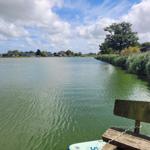Ein Blick auf einen ruhigen See mit Ufervegetation und Häusern im Hintergrund.