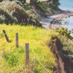 Grüner Hang mit Holzpfosten und Drahtzaun, Blick auf Küste und See.
