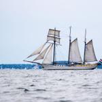Segelschiff mit Segeln auf dem Wasser, im Hintergrund Gebäude und Bäume.