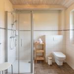 Badezimmer mit Dusche, WC und Fenster. Holzdecke und Waschbecken.