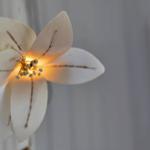Eine weiße Blumendekoration mit Licht in einem Raum.