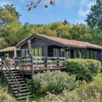 Holzhütte mit Terrasse und Garten in grüner Umgebung