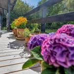 Terrasse mit Holzdielen und Pflanzen in Töpfen, Blick auf grünen Garten.
