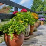 Terrasse mit Pflanzen in Töpfen und Holzgeländer