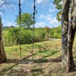 Schaukel zwischen zwei Bäumen auf einer Wiese mit Wald im Hintergrund.