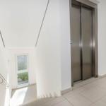 Haus mit Aufzug und Treppe. Fenster zeigt grüne Umgebung.