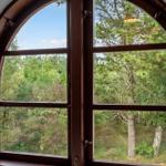 Durch das ovale Fenster blickt man auf einen grünen Wald mit Bäumen und Sträuchern.