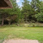 Hinterhof mit Rasen und Wald. Blick von der Haustür.